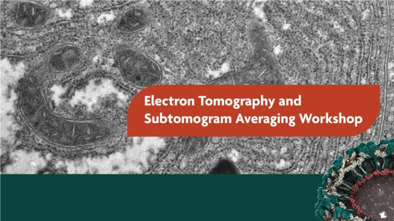Electron Tomography and Subtomogram Averaging Workshop. <br><br>March 24 – 28, 2025